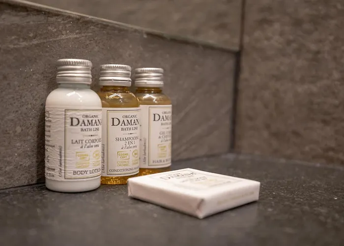 Le D'antoine - Centre De Otel