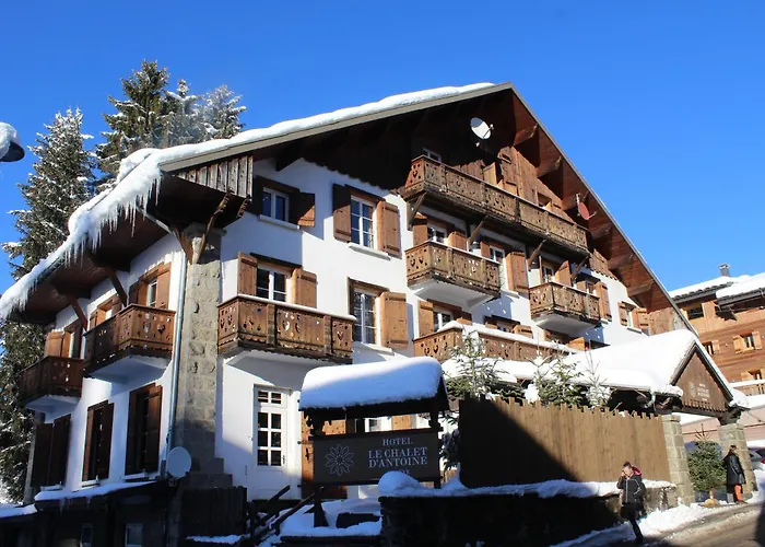 Le D'antoine - Centre De 3*