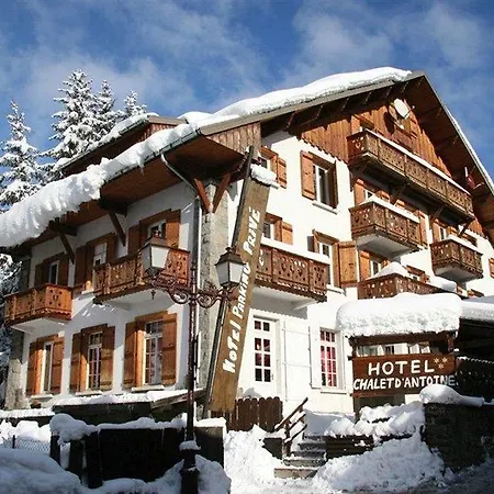 Le D'antoine - Centre De Hotel