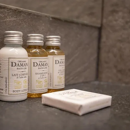 Le D'antoine - Centre De Hotel