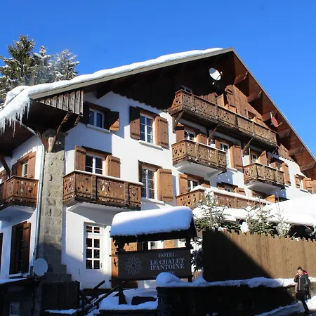 Le D'antoine - Centre De 3*