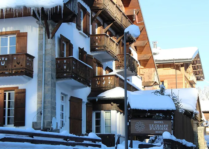 Le D'antoine - Centre De Hotel 3*