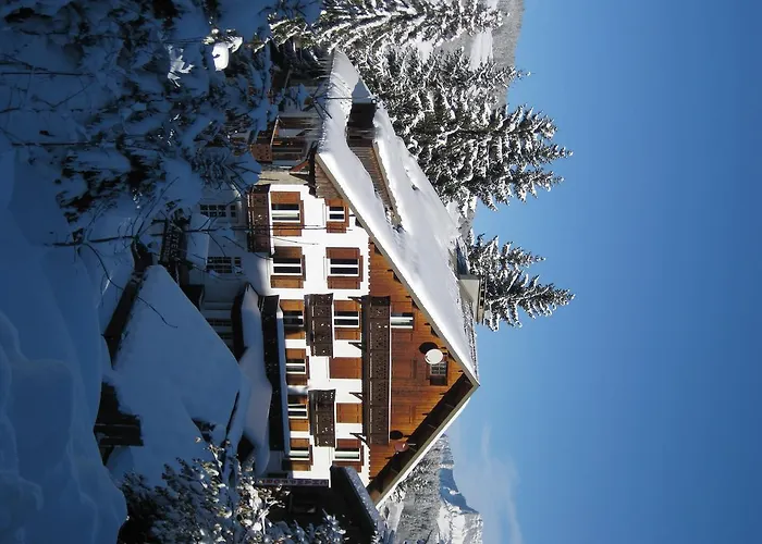 Le D'antoine - Centre De 3* Megeve